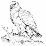 Juvenile Golden Eagle Coloring Pages for Children 1
