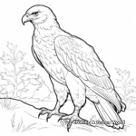Juvenile Golden Eagle Coloring Pages for Children 2