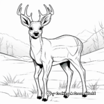 Kid-Friendly Cartoon Buck Coloring Pages 1