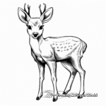 Kid-Friendly Cartoon Deer Antler Coloring Pages 2