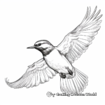 Kingfisher Bird in Flight Coloring Pages 1
