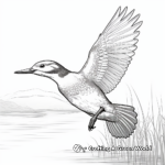 Kingfisher Bird in Flight Coloring Pages 4