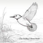 Kingfisher in Action - Bird Coloring Pages 3