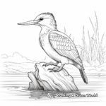 Kingfisher in Nature: Wilderness Coloring Pages 2