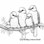 Kookaburra Family Coloring Pages 2