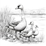 Lakeside Canada Geese Coloring Pages 1