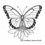 Páginas para colorear a gran escala Mitad mariposa, mitad zinnia 3