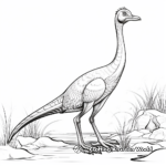 Large Size Compysognathus Coloring Page for Wall Art 4