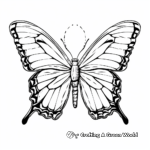 Large-Sized Swallowtail Butterfly Coloring Pages 3
