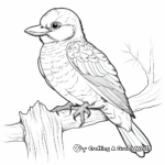 Laughing Kookaburra Coloring Pages 4