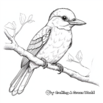 Laughing Kookaburra Kingfisher Coloring Pages 1