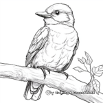 Laughing Kookaburra Kingfisher Coloring Pages 3
