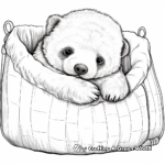 Lazy Baby Sloth Coloring Pages 4