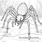 Learning Adaptations with Spider Web Construction Coloring Pages 4