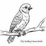 Lesser Spotted Woodpecker Coloring Pages for Children 4
