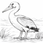 Life-like Dalmatian Pelican Coloring Pages 3