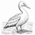 Life-like Dalmatian Pelican Coloring Pages 4
