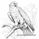 Lifelike Eagle Coloring Pages for Realism Fans 1