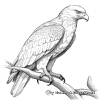 Lifelike Eagle Coloring Pages for Realism Fans 2