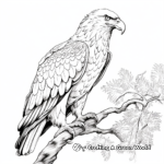 Lifelike Eagle Coloring Pages for Realism Fans 4