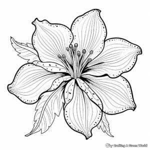 Lively Lily Flower Coloring Pages 1