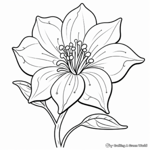 Lively Lily Flower Coloring Pages 2