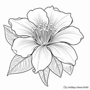 Lively Lily Flower Coloring Pages 4