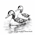 Loon Duo: Twin Loons Coloring Pages 1