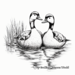 Loon Duo: Twin Loons Coloring Pages 2