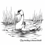 Loon Duo: Twin Loons Coloring Pages 3