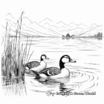 Loons in the Lake: Scenic Coloring Pages 1