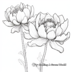 Lotus and Water Lily Coloring Pages: A Comparison 4