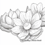 Lotus Petals Close-up Coloring Pages 1