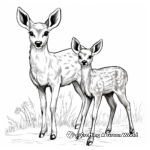 Lovely Doe and Fawn Coloring Pages 2