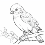 Lovely Dove Pigeon Coloring Pages 1