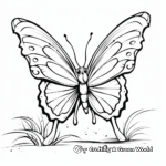 Lovely Monarch Butterfly Landing on Flower Coloring Pages 4