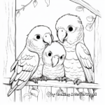 Lovely Parrots in Shelter Coloring Page 2