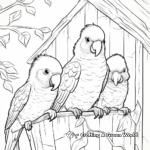 Lovely Parrots in Shelter Coloring Page 4