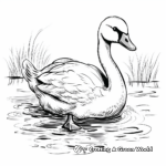 Lovely Swan Coloring Pages for An Elegant Coloring Experience 2