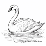Lovely Swan Coloring Pages for An Elegant Coloring Experience 3