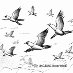 Macaw Flock Flying in the Sky Coloring Sheets 2