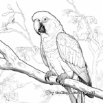 Macaw in a Tropical Rainforest Coloring Pages 1