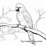 Macaw on a Tree Branch: Jungle-Scene Coloring Pages 2