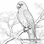Macaw on a Tree Branch: Jungle-Scene Coloring Pages 3