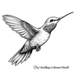 Magnificent Hovering Hummingbird Coloring Sheets 1