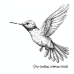 Magnificent Hovering Hummingbird Coloring Sheets 2