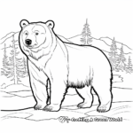 Majestic Alaskan Black Bear Coloring Pages 1