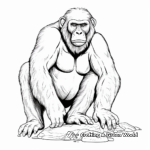 Majestic Alpha Male Chimpanzee Coloring Pages 2