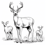 Majestic Antlered Buck and Graceful Doe Coloring Pages 2
