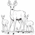 Majestic Antlered Buck and Graceful Doe Coloring Pages 4